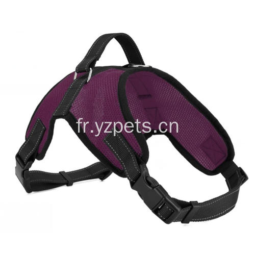 Harnais de sangle pour chien en tissu tissé